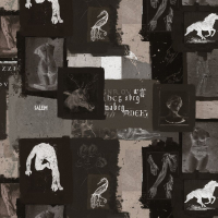 Mind The Gap THE STUDIO 