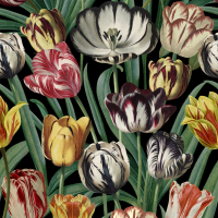 Mind The Gap Tulipa