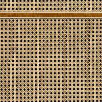 NLXL Webbing
