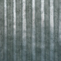 Ponti