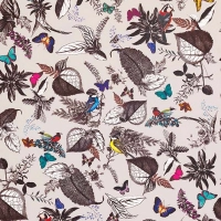 Osborne & Little Bird Song