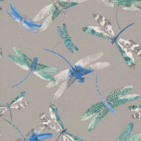 Dragonfly Dance