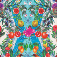 Matthew Williamson Talavera