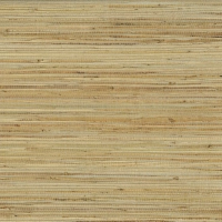 Osborne & Little Kanoko Grasscloth 2