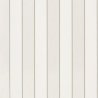 Osborne & Little Regency Stripe