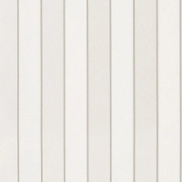 Osborne & Little Regency Stripe