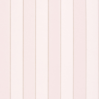 Osborne & Little Regency Stripe