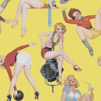 Mind The Gap Pin-up Girls