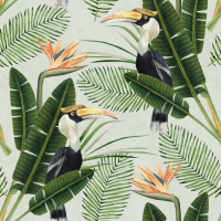 Mind The Gap Birds of Paradise