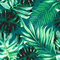 Mind The Gap Rainforest