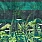 Green Wallpaper PDG1088/01