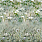 Green Wallpaper PDG1113/01