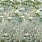 Green Wallpaper PDG1113/01