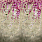 Pink & Purple Wallpaper PDG1116/01