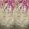 Pink & Purple Wallpaper PDG1116/01