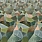 Green Wallpaper PDG1110/01