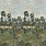 Green Wallpaper PJD6005/01