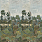 Green Wallpaper PJD6005/01
