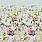 Pink & Purple Wallpaper PDG1149/01