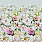 Pink & Purple Wallpaper PDG1149/01