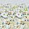 Natural, Ivory & White Wallpaper PDG1149/02