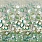 Green Wallpaper PDG1152/01