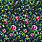 Multi Colour Wallpaper PDG1154/01