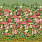 Multi Colour Wallpaper PDG1170/02
