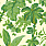 Green Wallpaper JV-7277