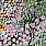 Multi Colour Wallpaper JV-25936