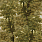 Green Wallpaper WP20784