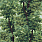 Green Wallpaper WP20785