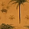 Peach & Terracotta Wallpaper WP20488