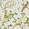 Green Wallpaper CH30613