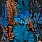 Aqua & Blue Wallpaper WP20298