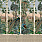 Green Wallpaper WP20750