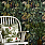 Green Wallpaper WP20517