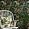 Green Wallpaper WP20517
