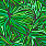 Green Wallpaper 10577