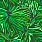 Green Wallpaper 10577