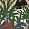 Multi Colour Wallpaper WP20495