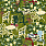 Green Wallpaper WP20842