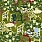 Green Wallpaper WP20842