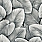 Black & White Wallpaper LS60300