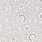 Grey Wallpaper NCW4351-06
