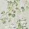 Green Wallpaper PDG673/05