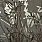 Grey Wallpaper PH49206