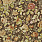 Brown & Beige Wallpaper PRL705/05