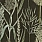 Black Wallpaper WP30166