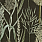 Black Wallpaper WP30166